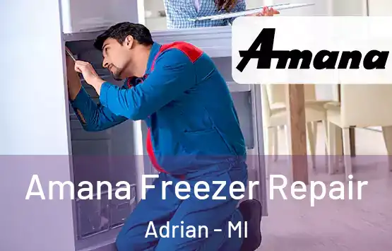  Amana Freezer Repair Adrian - MI