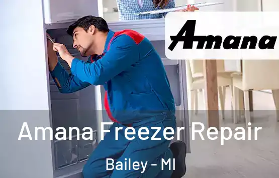  Amana Freezer Repair Bailey - MI