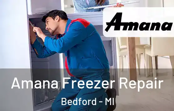  Amana Freezer Repair Bedford - MI