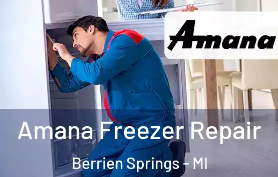 Amana Freezer Repair Berrien Springs - MI