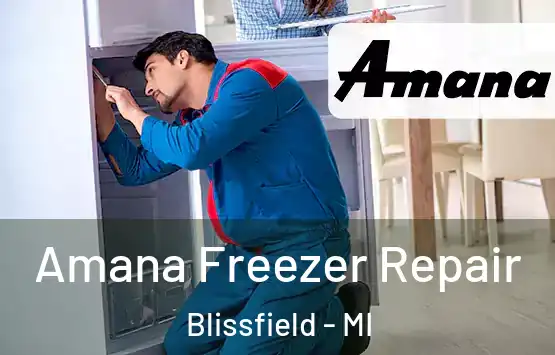  Amana Freezer Repair Blissfield - MI