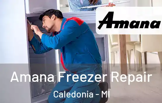  Amana Freezer Repair Caledonia - MI