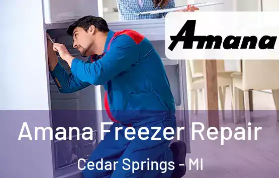  Amana Freezer Repair Cedar Springs - MI