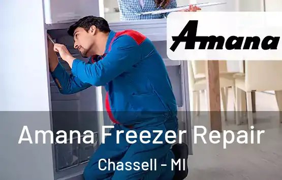  Amana Freezer Repair Chassell - MI