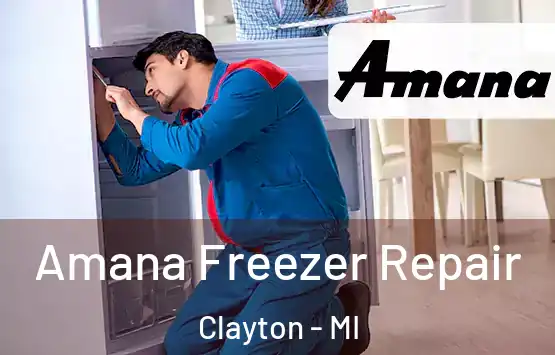  Amana Freezer Repair Clayton - MI