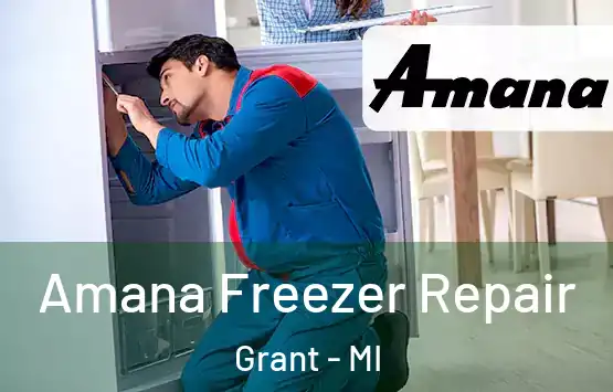  Amana Freezer Repair Grant - MI