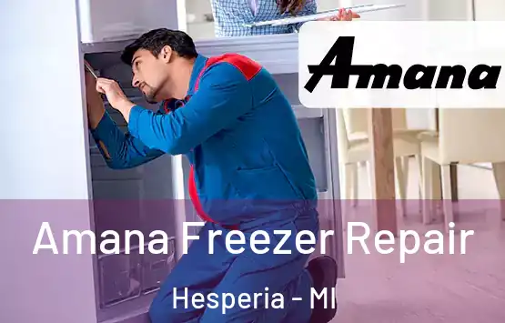  Amana Freezer Repair Hesperia - MI