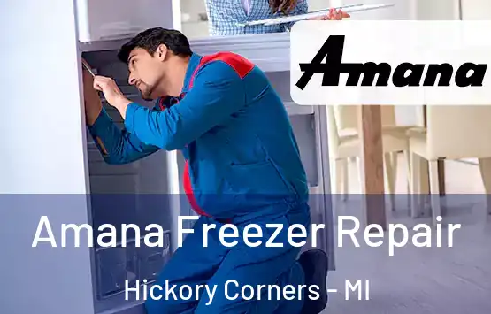  Amana Freezer Repair Hickory Corners - MI