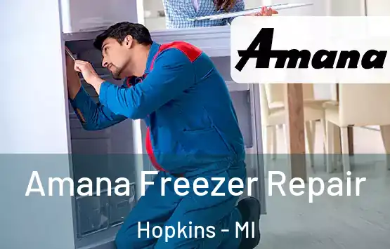  Amana Freezer Repair Hopkins - MI