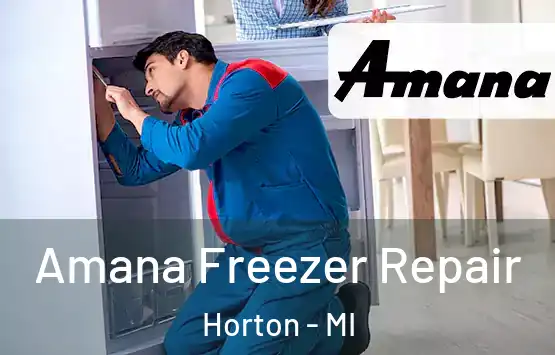  Amana Freezer Repair Horton - MI