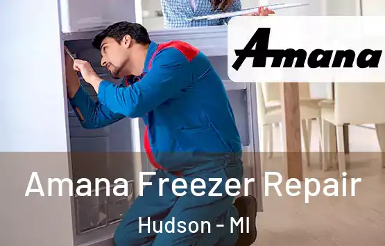  Amana Freezer Repair Hudson - MI