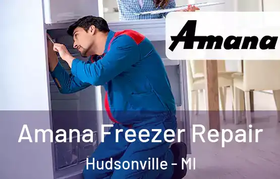  Amana Freezer Repair Hudsonville - MI