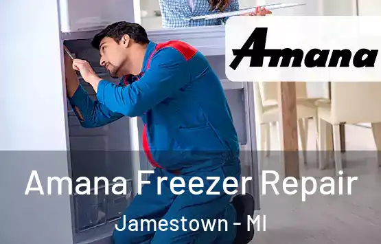  Amana Freezer Repair Jamestown - MI