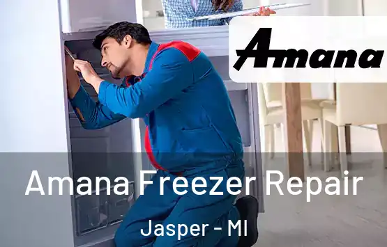  Amana Freezer Repair Jasper - MI