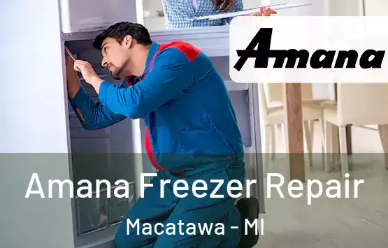  Amana Freezer Repair Macatawa - MI