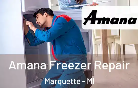 Amana Freezer Repair Marquette - MI