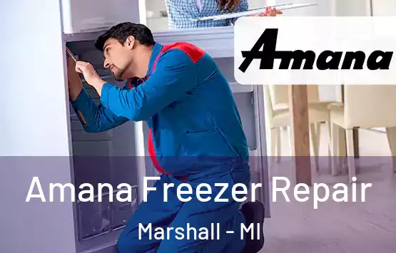  Amana Freezer Repair Marshall - MI