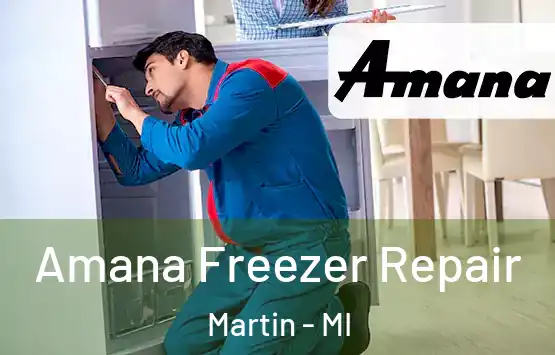  Amana Freezer Repair Martin - MI