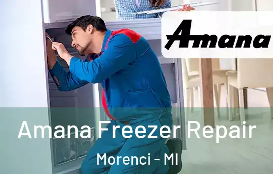  Amana Freezer Repair Morenci - MI