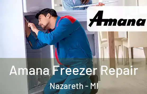 Amana Freezer Repair Nazareth - MI