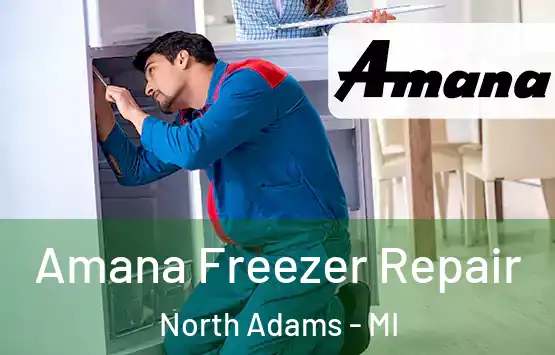  Amana Freezer Repair North Adams - MI