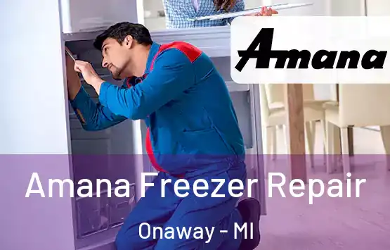  Amana Freezer Repair Onaway - MI
