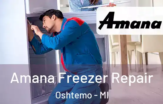  Amana Freezer Repair Oshtemo - MI