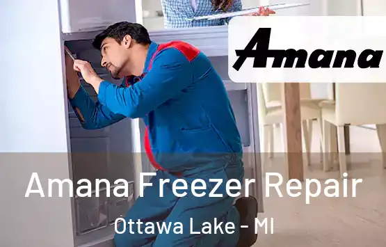  Amana Freezer Repair Ottawa Lake - MI