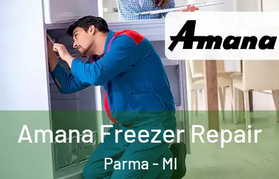  Amana Freezer Repair Parma - MI