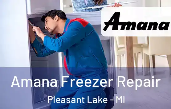  Amana Freezer Repair Pleasant Lake - MI