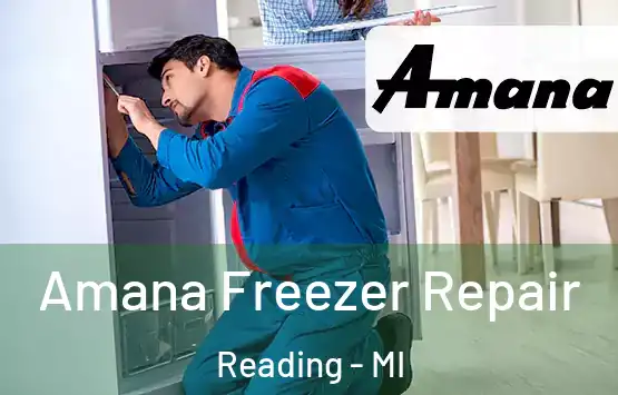  Amana Freezer Repair Reading - MI