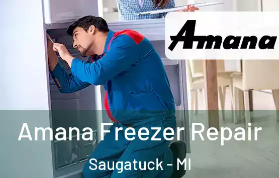  Amana Freezer Repair Saugatuck - MI
