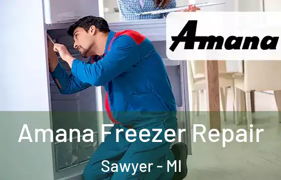  Amana Freezer Repair Sawyer - MI