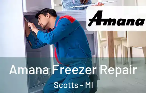  Amana Freezer Repair Scotts - MI