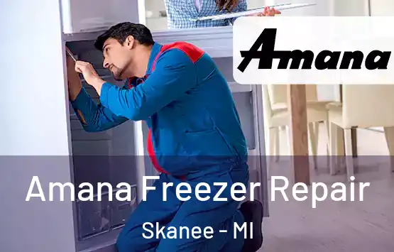  Amana Freezer Repair Skanee - MI