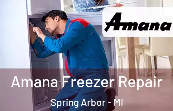  Amana Freezer Repair Spring Arbor - MI