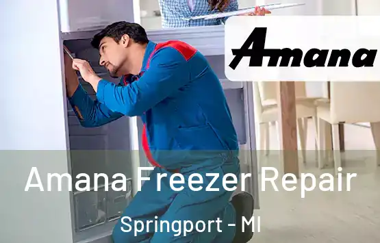  Amana Freezer Repair Springport - MI