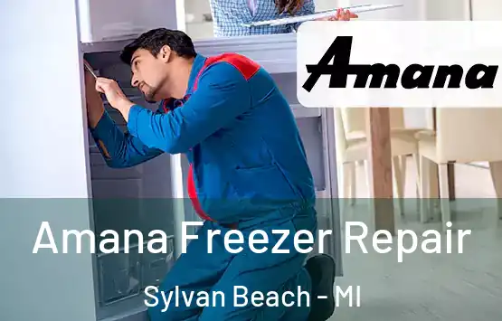  Amana Freezer Repair Sylvan Beach - MI