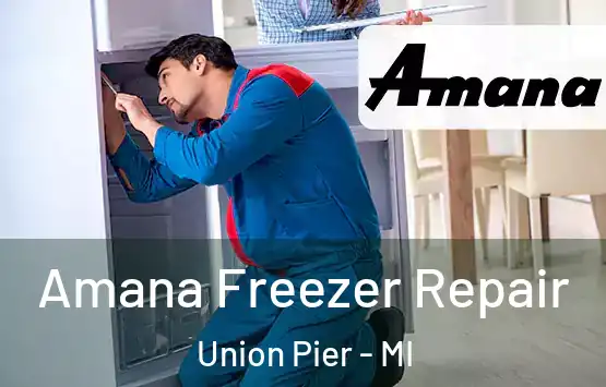  Amana Freezer Repair Union Pier - MI