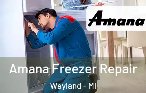  Amana Freezer Repair Wayland - MI