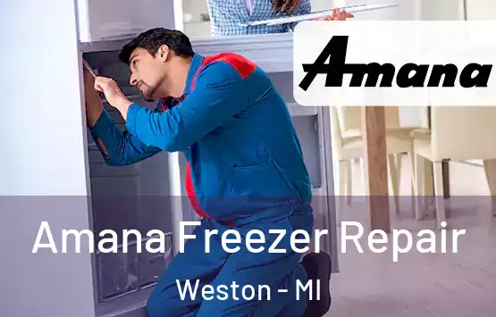  Amana Freezer Repair Weston - MI