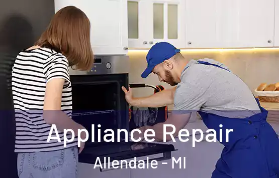  Appliance Repair Allendale - MI