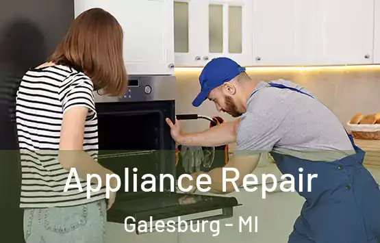  Appliance Repair Galesburg - MI