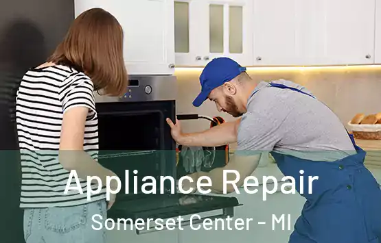  Appliance Repair Somerset Center - MI