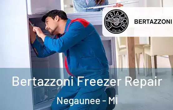  Bertazzoni Freezer Repair Negaunee - MI