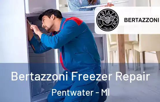  Bertazzoni Freezer Repair Pentwater - MI