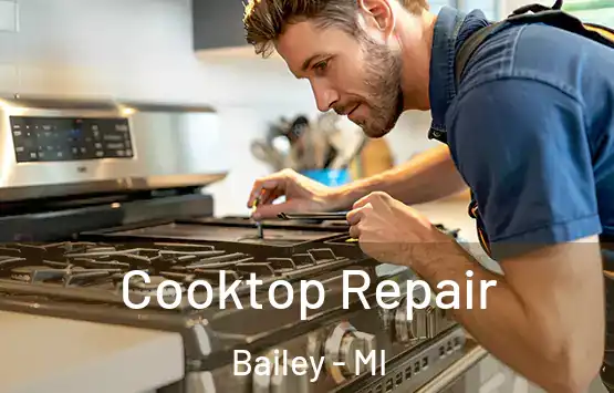  Cooktop Repair Bailey - MI