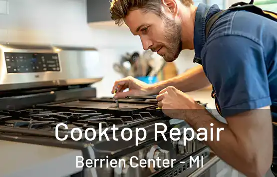 Cooktop Repair Berrien Center - MI