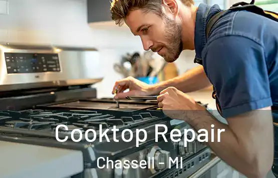  Cooktop Repair Chassell - MI