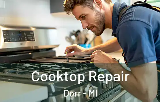  Cooktop Repair Dorr - MI